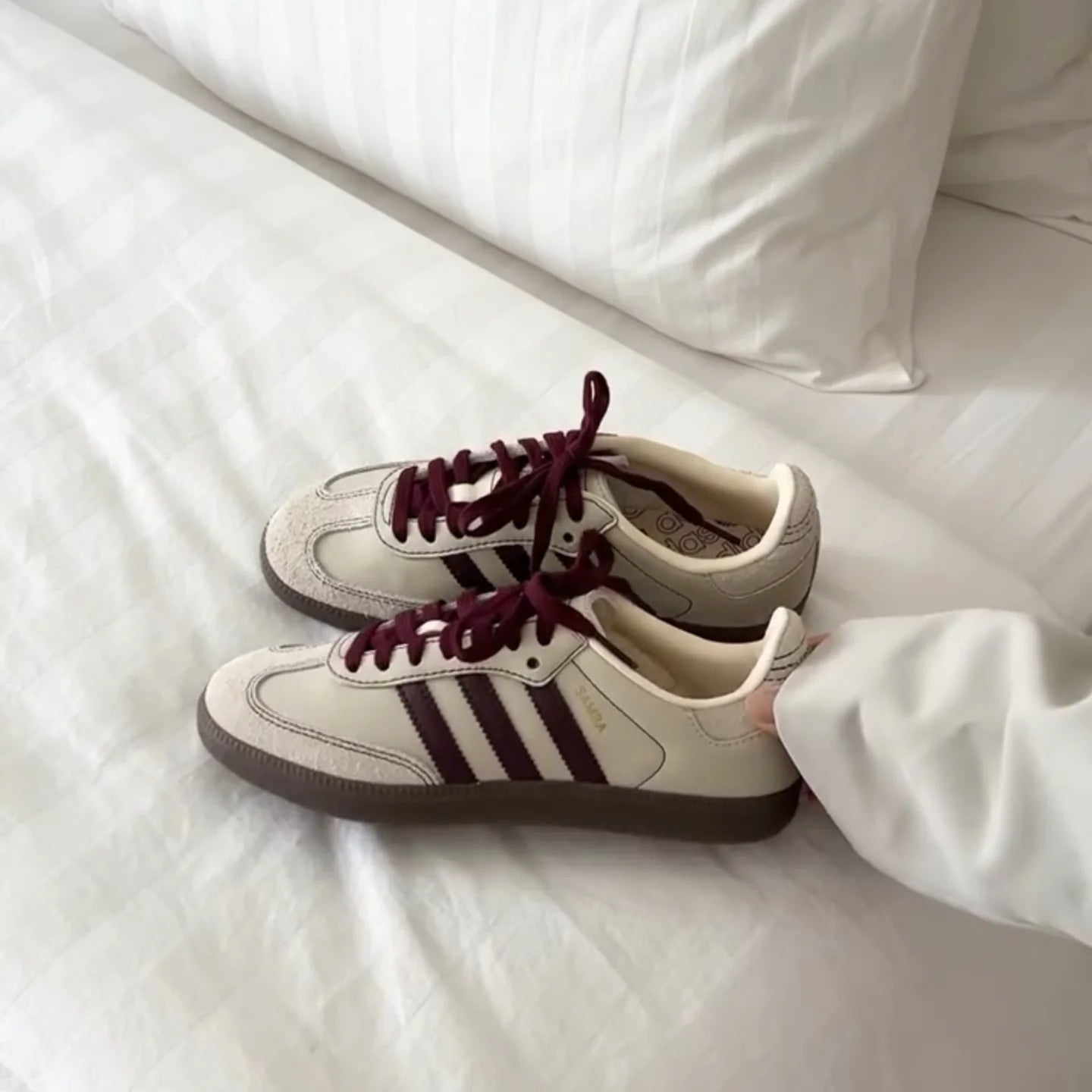 Samba burgundy & beige